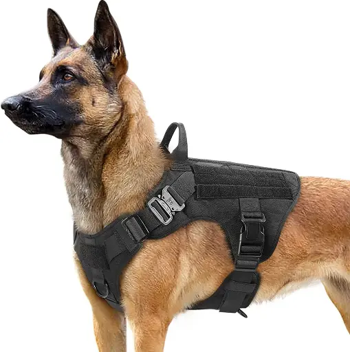 Harnais "Tactic" Chien