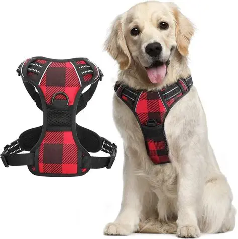 Harnais Simple Chien