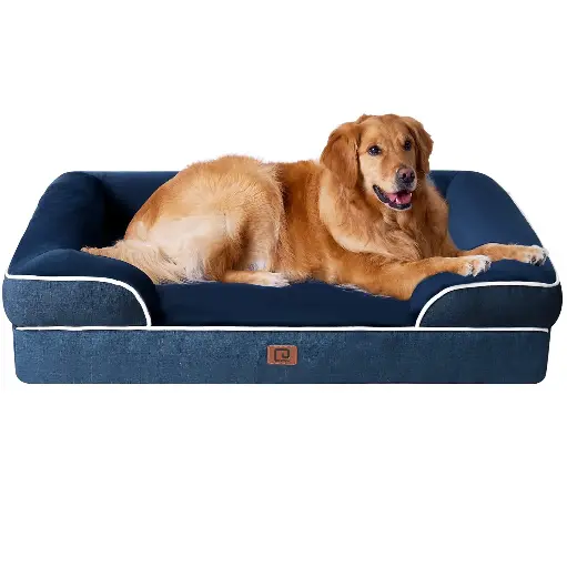 Lit pour chien avec élévation